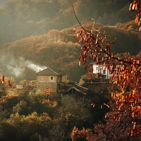 Yancheva Guest House Делчево Екстериор снимка