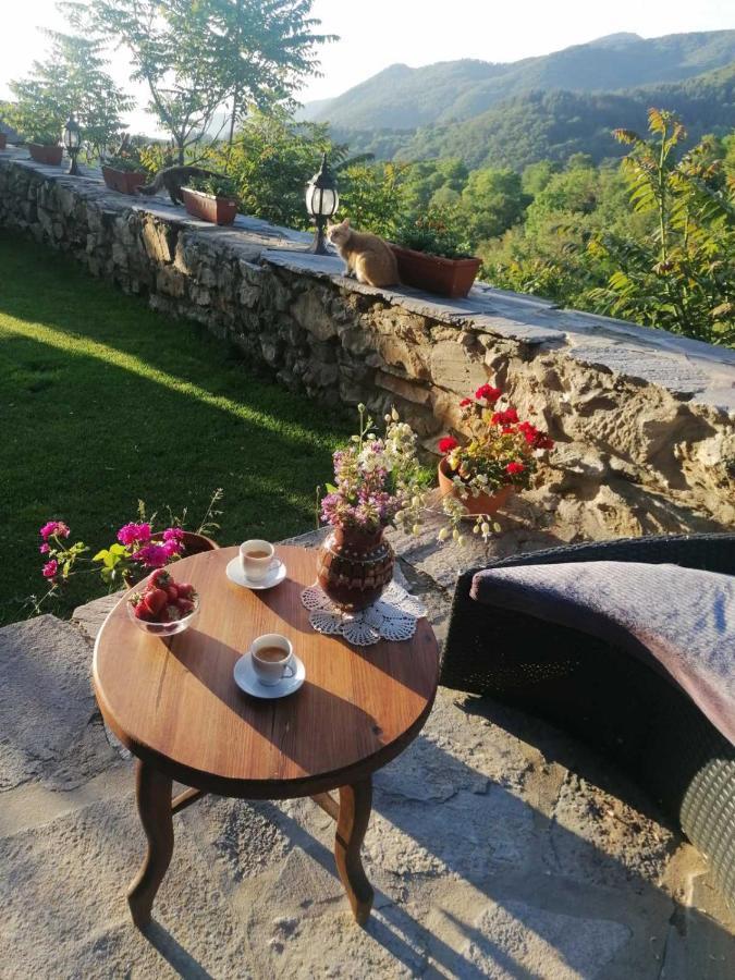 Yancheva Guest House Делчево Екстериор снимка