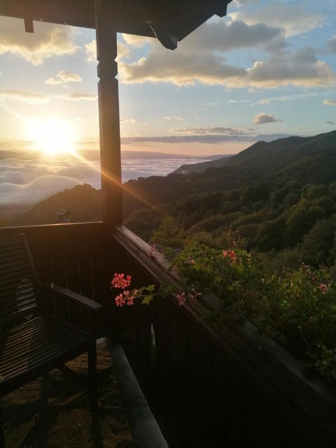 Yancheva Guest House Делчево Екстериор снимка