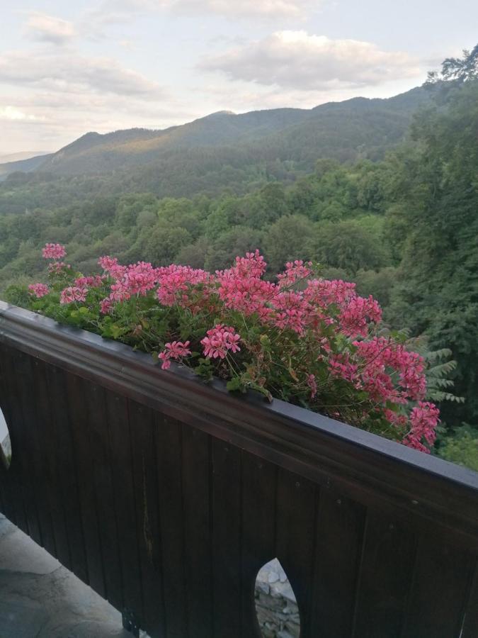 Yancheva Guest House Делчево Екстериор снимка
